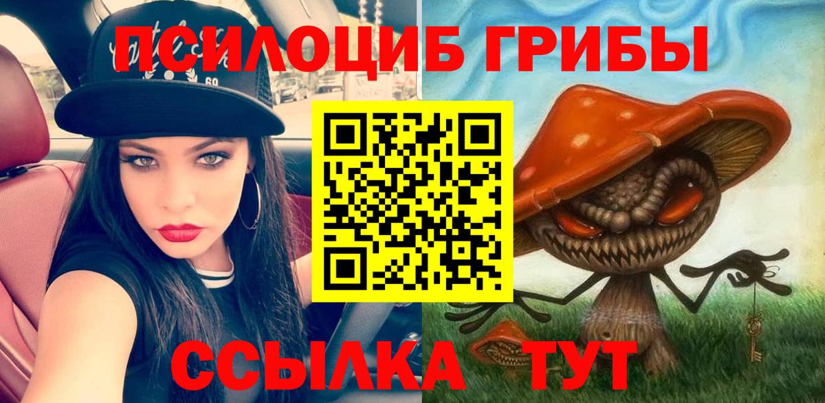Псилоцибиновые грибы GOLDEN TEACHER Ростов-на-Дону
