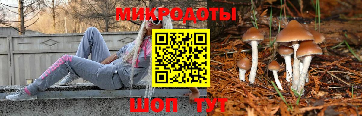 Псилоцибиновые грибы Psilocybine cubensis  Галлюциногенные грибы MAGIC MUSHROOMS  Вход с VPN  Ростов-на-Дону 